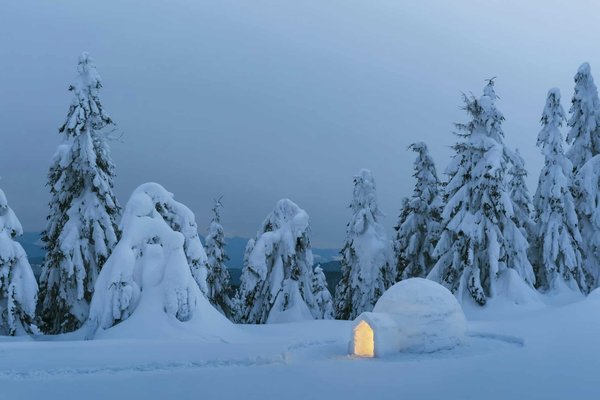 Quelles sont les meilleures techniques pour construire un igloo en camping arctique?